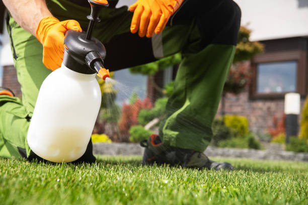 Best Pest Removal Services  in Sierra View, PA