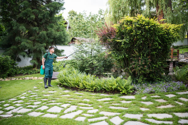 Best Emergency Pest Control  in Sierra View, PA