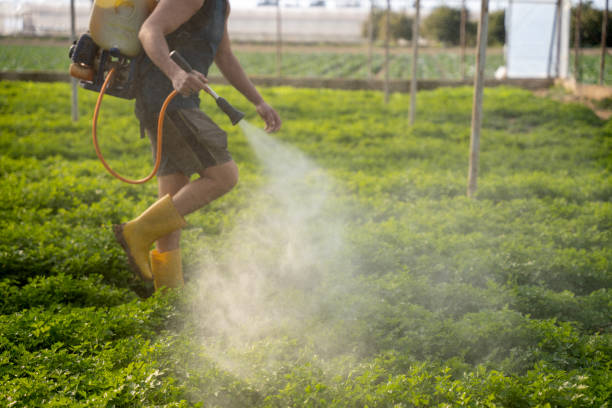 Best Affordable Pest Control Services  in Sierra View, PA