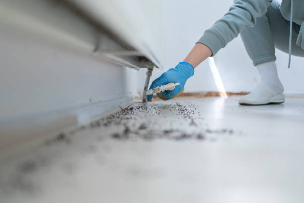 Best Exterminator Services  in Sierra View, PA